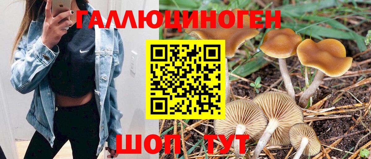 Галлюциногенные грибы мухоморы Гагарин
